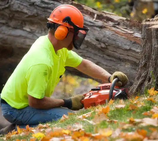 tree services Suncook